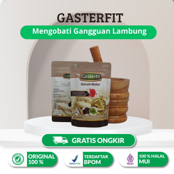 GASTERFIT MAKANAN SEHAT BUAT LAMBUNG KITA