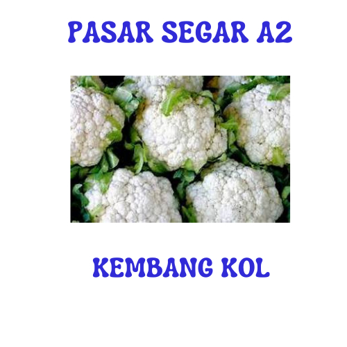 

SAYUR KEMBANG KOL PASAR SEGAR MAKASSAR/PASAR TERONG ONLINE MAKASSAR