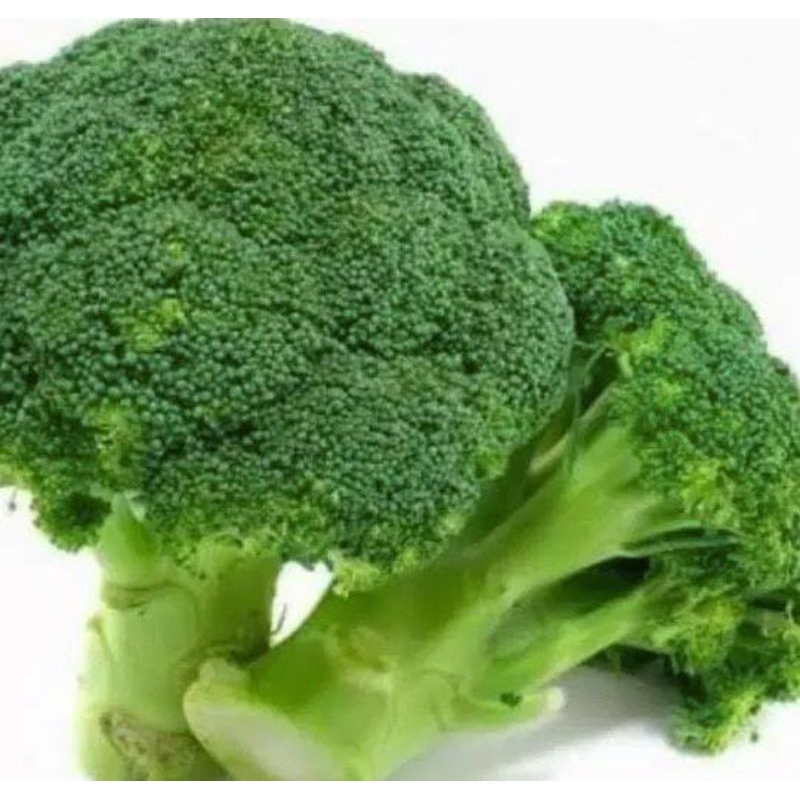 

bromoli hijau fresh rfek
