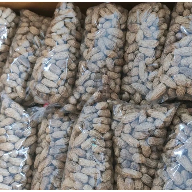 

kacang randang kampung