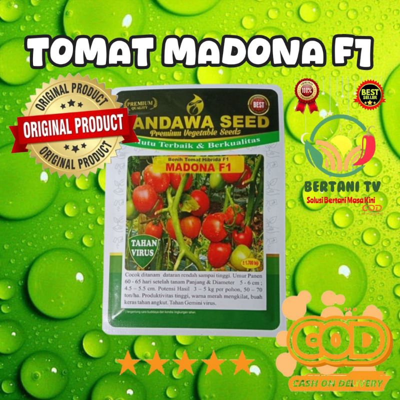 Tomat Madona f1 -+1700 biji, cocok di tanam di dataran rendah - tinggi.toleran virus dan penyakit