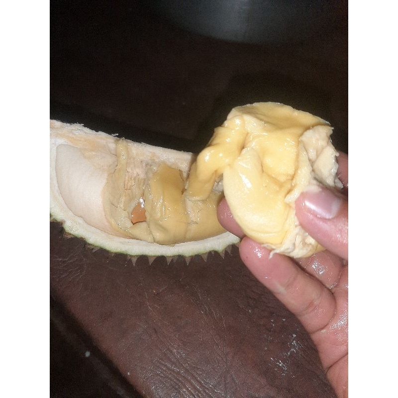 

Durian Lokas mini berkualitas baik 100%Fresh