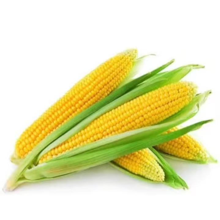 

jagung manis afeta si madu sudah full sortir berat 1kg