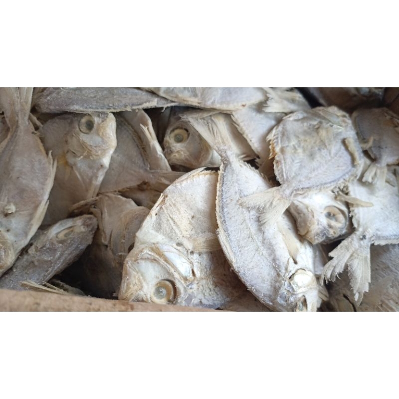 

ikan asin petek 100 gr