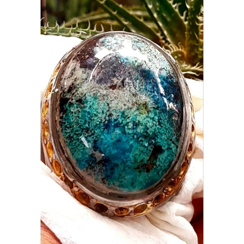 Pirus Hubei gradasi multicolour size babon