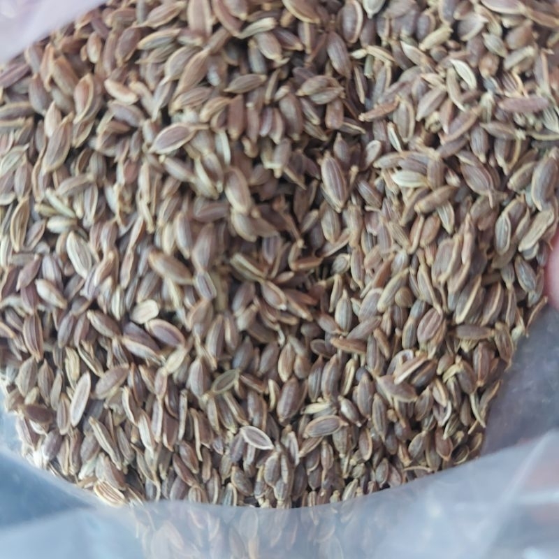 

Jinten Pedas 100gr