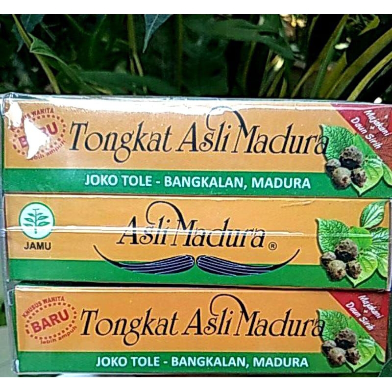 TONGKAT ASLI MADURA ORIGINAL