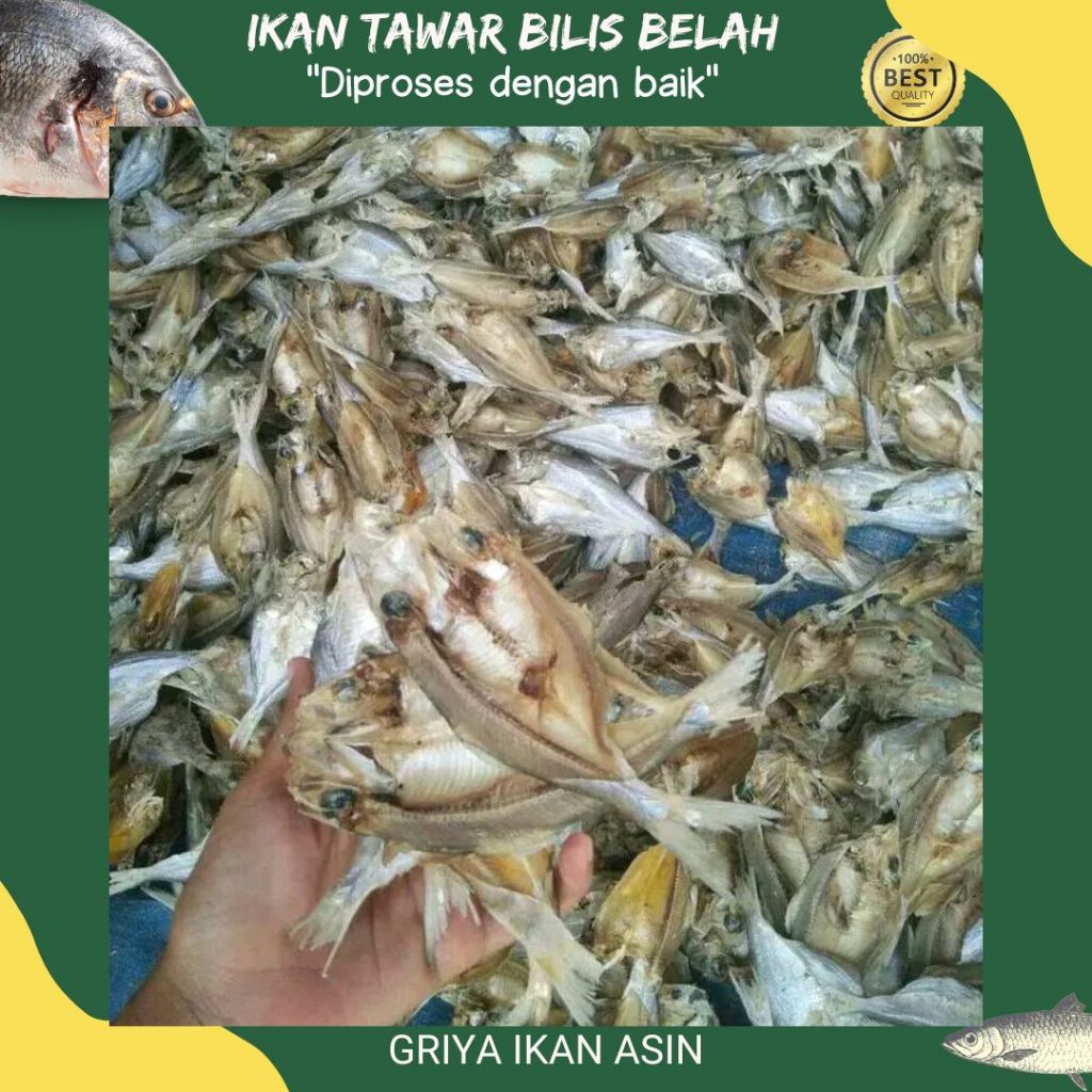 

ikan bilis tawar/ikan bilis tawar kering/ikan bilis tawar belah super termurah