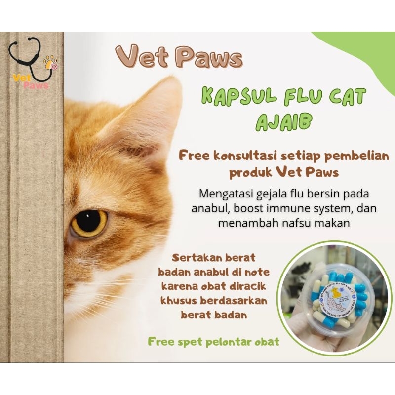 Vet Paws Kapsul Flu Cat Ajaib Mengobati Flu batuk Hidung Tersumbat Pada Kucing Free Konsultasi
