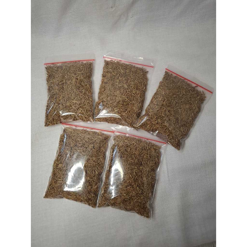 

Rempah jintan / cumin / jintan asli 100 % PREMIUM