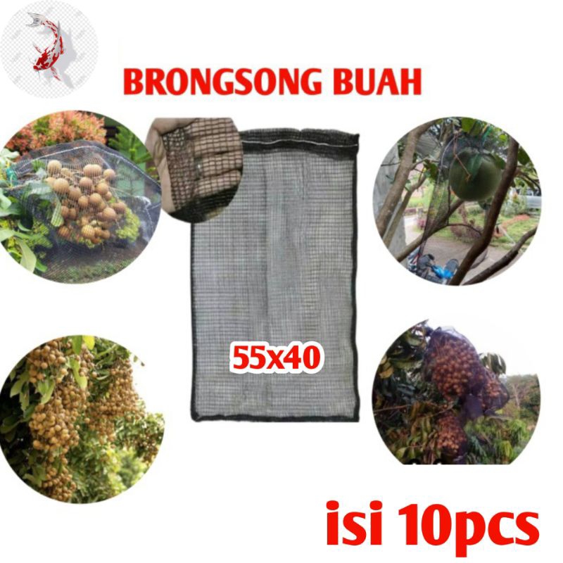 brongsong buah klengkeng mangga anggur isi 10