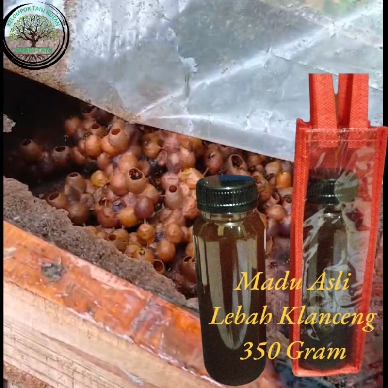 

Madu Asli 100℅ Lebah Klanceng