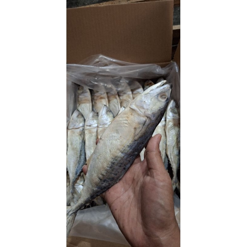 

ikan peda asin / banyar / kembung jumbo super 1/2 kg isi 4-6