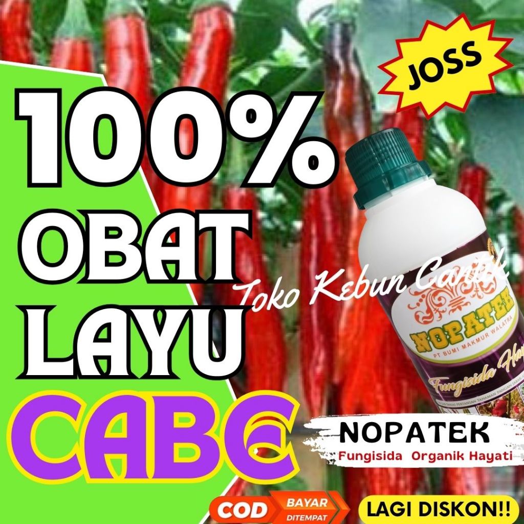NOPATEK Obat Layu Fusarium Cabai – Pengendali Layu Fusarium Cabai Organik, Fungisida Hayati Cabai Am