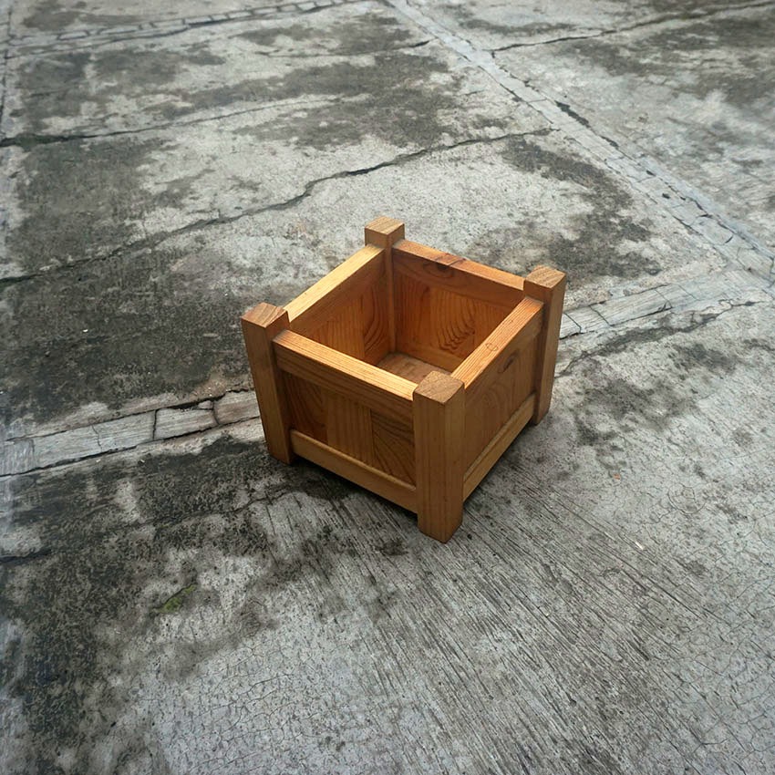 

Tempat Pensil Pot Kaktus B 12x12x12