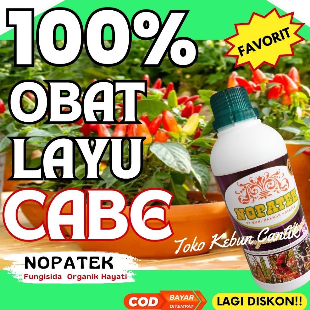 MUJARAB Obat Layu Fusarium Cabai NOPATEK – Fungisida Hayati Organik, Pengendali Layu Fusarium Cabai,