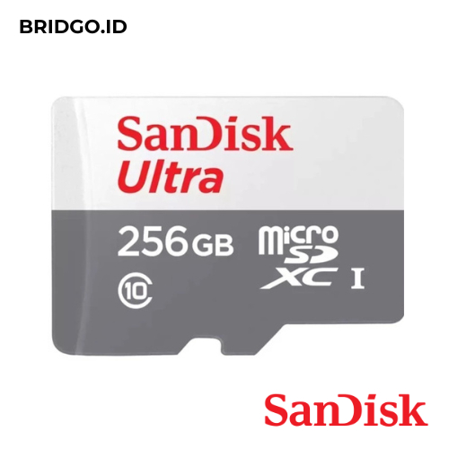 Sandisk Micro Sd Ultra Sdxc 256Gb 100Mb/S (Sdsqunr-256G-Gn3Mn)