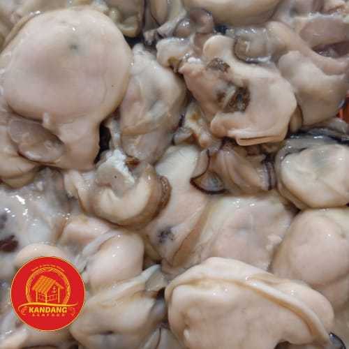 

Daging Kerang Tiram Kupas Oyster 1 Kg