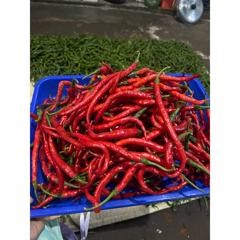 

Cabe Merah Keriting 1 KG