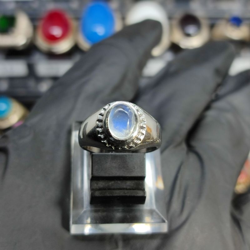 CINCIN PRIA BIDURI BULAN