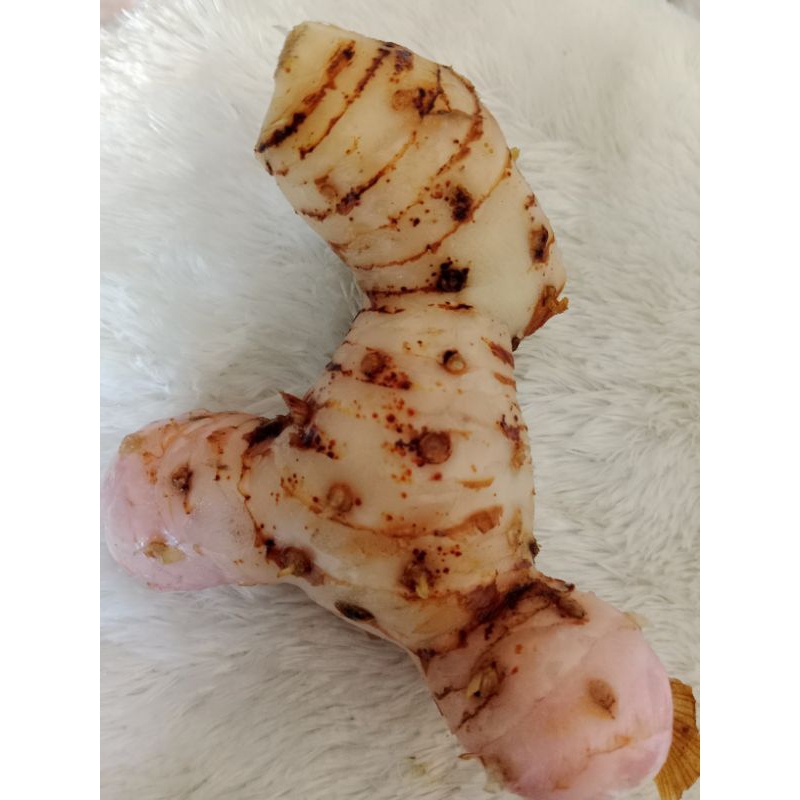 

lengkuas laos bumbu masak 500 gram