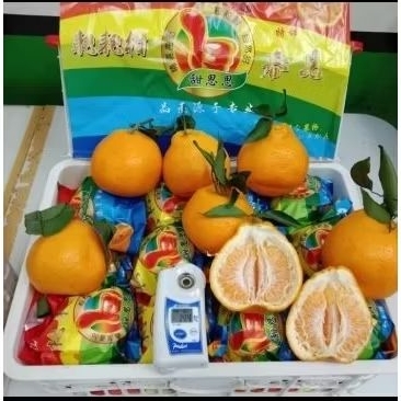 

Buah jeruk chunjian manis cap jempol super jumbo XXXL keranjang -+6kg