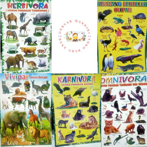 Paket ISI 5 POSTER Poster Anak Edukasi Belajar Pengenalan kelompok hewan