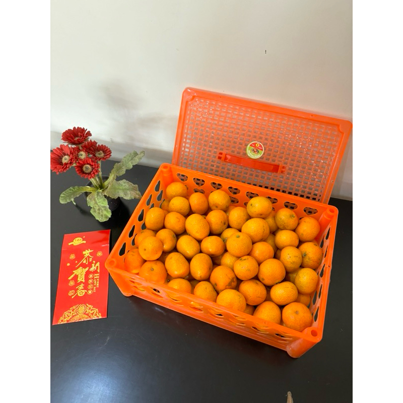 

Jeruk Shantang Imlek CNY Surabaya Sidoarjo 3 kg