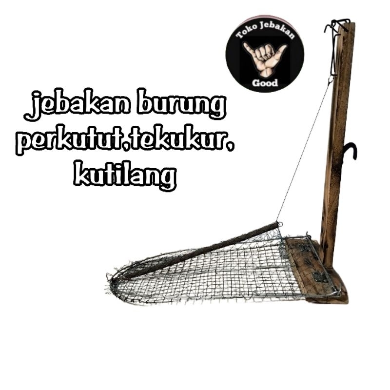 jebakan burung tempel di sangkar