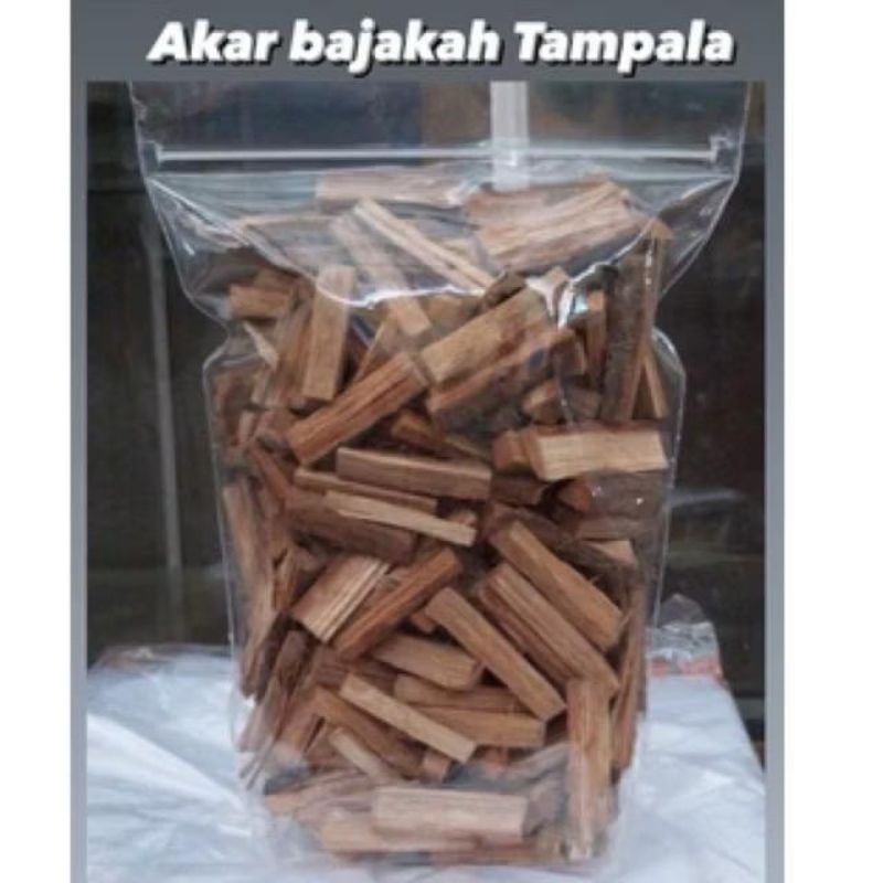 

AKAR BAJAKAH TAMPALA KUALITAS SUPER/ AMPUH MENGOBATI KANKER TUMOR DAN BENJOLAN HERBAL ALAMI