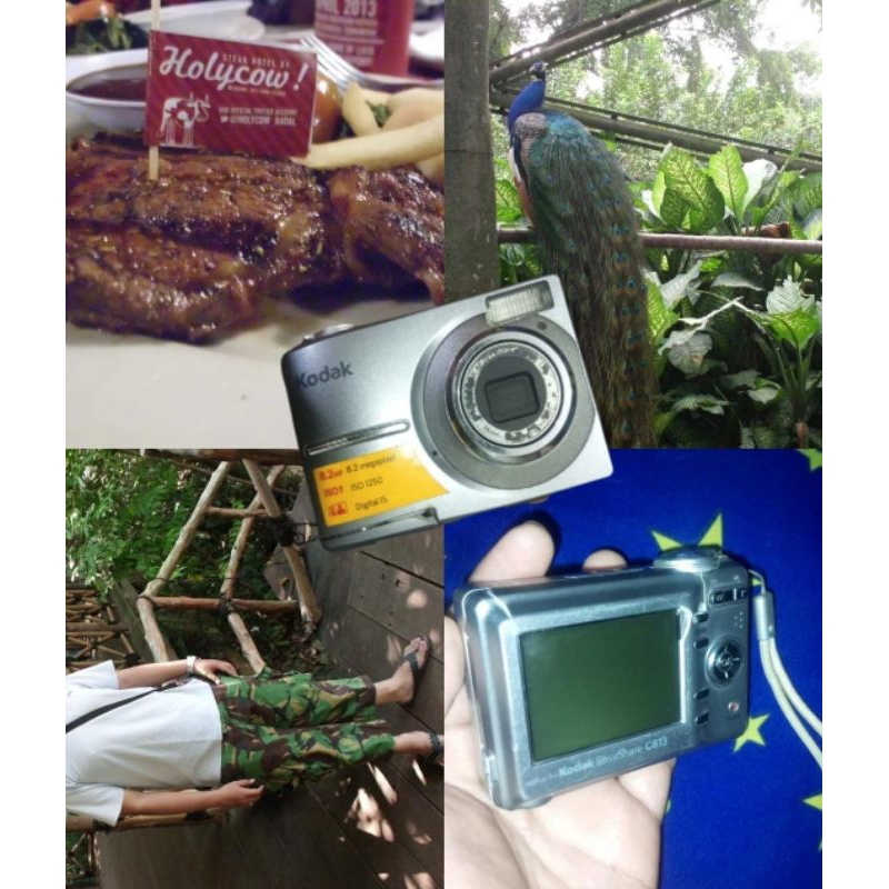 kodak easyshare c813 digicam