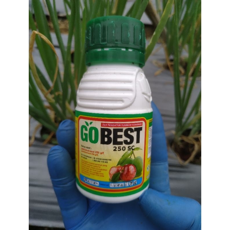 Zpt GOBEST 250sc 100ml bisa untuk memperbesar umbi  bawang merah