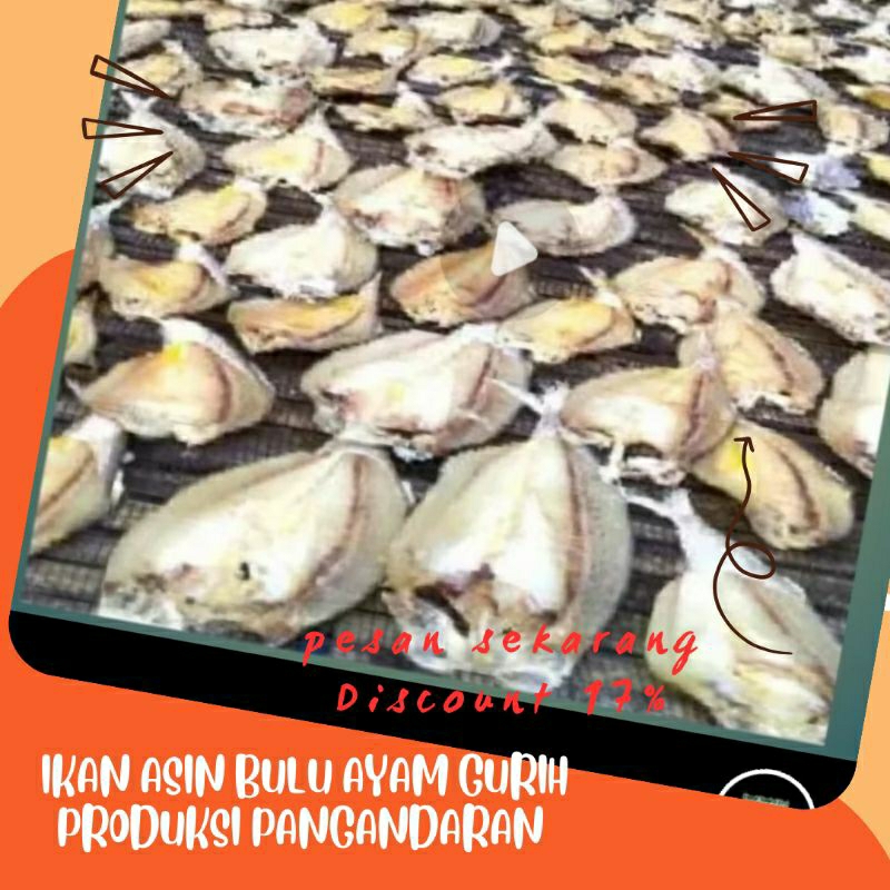 

Ikan Asin Bulu Ayam Gurih produk Pangandaran