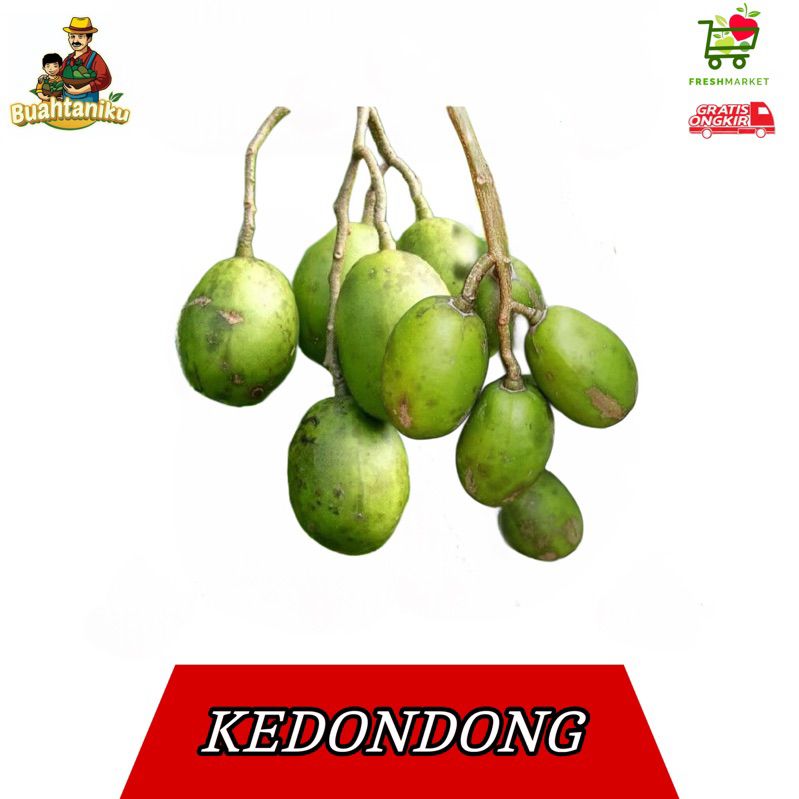 

Buah Kedondong Lokal 1-2 Kg