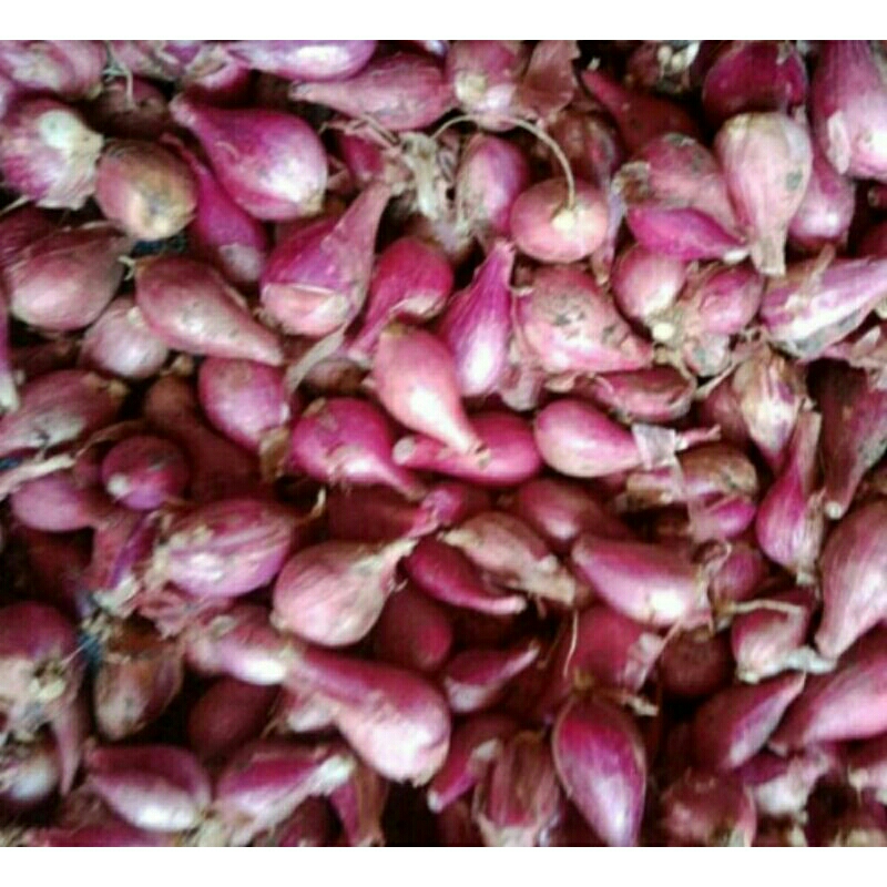 

Bawang Merah Brebes 1 Kg "KECIL-SEDANG