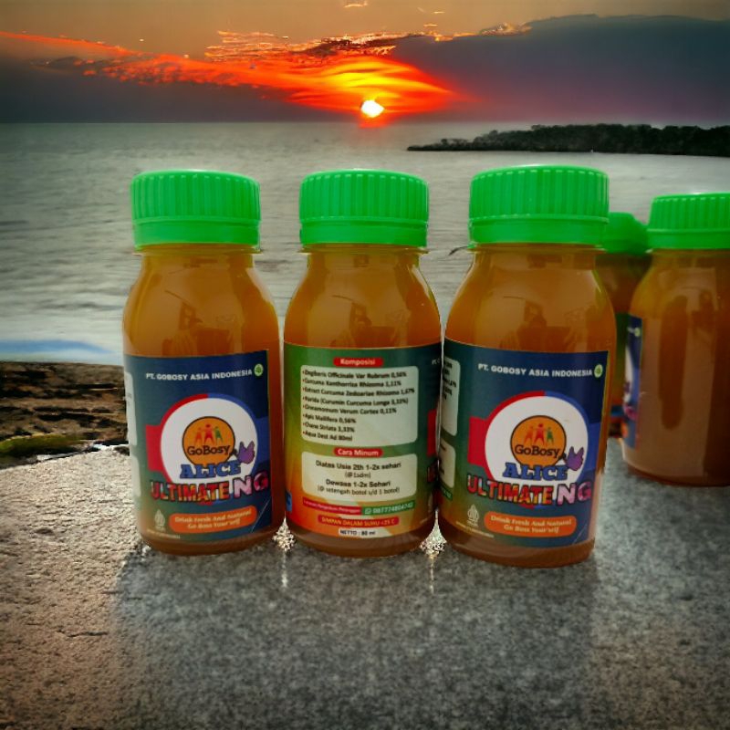 

Obat Herbal Hepatitis GoBosy ALice isi 2 Botol