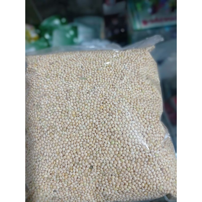 MILET PUTIH BERSIH 500g PAKAN BURUNG LOVEBIRD KILOAN