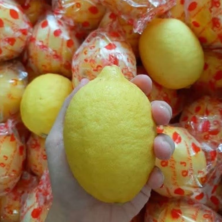 

LEMON CALIFORNIA SUPER 500gr