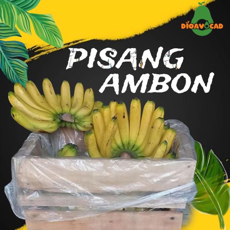 

pisang Ambon harga per 1 peti