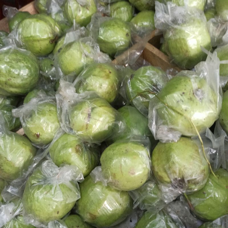 

Jambu Kristal Crystal Segar Manis Renyah • 1000 gr 1 kg
