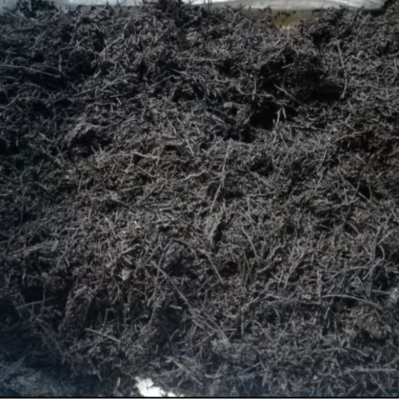 Media Tanam AKAR PAKIS Cacah Non Oven