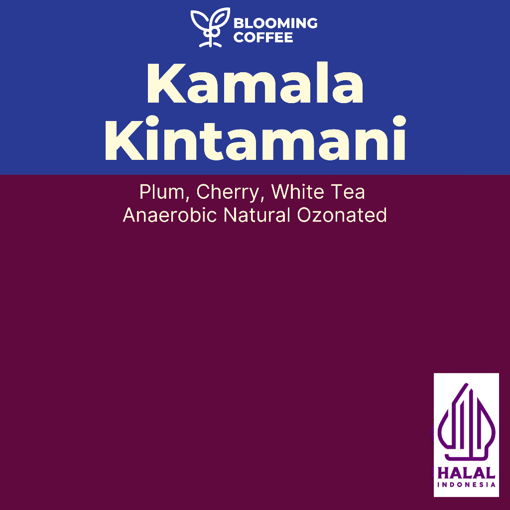 

Bali Kamala Kintamani | Filter Roast | Blooming Coffee Biji Kopi Arabica