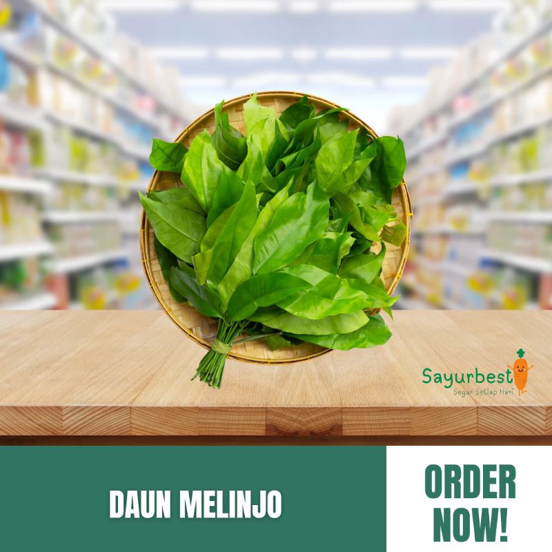 

Daun Melinjo 1 pack