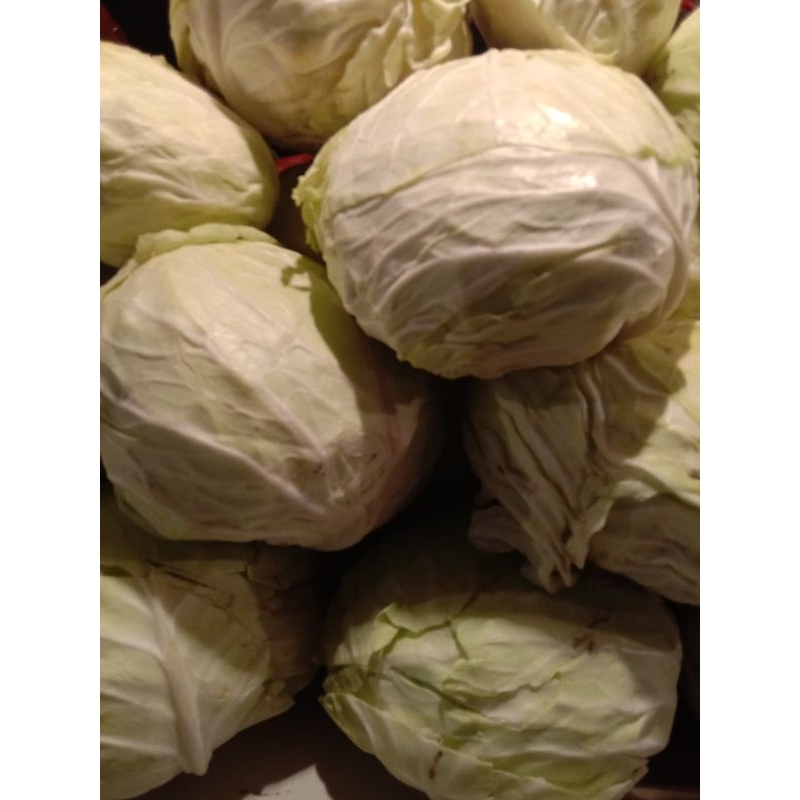 

kubis/kol 1kg , 10.000