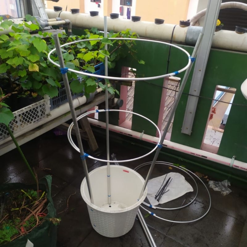 Tiang Rambatan Tanaman Anggur Tabulampot Alumunium 120cm