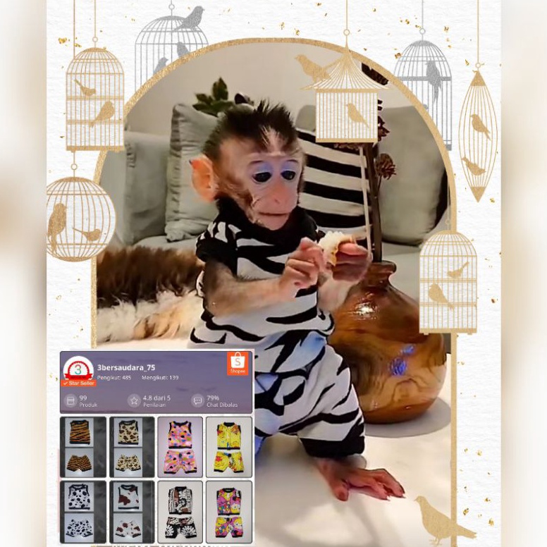 Terkini Grosir Setelan baju untuk Baby monyet monpai