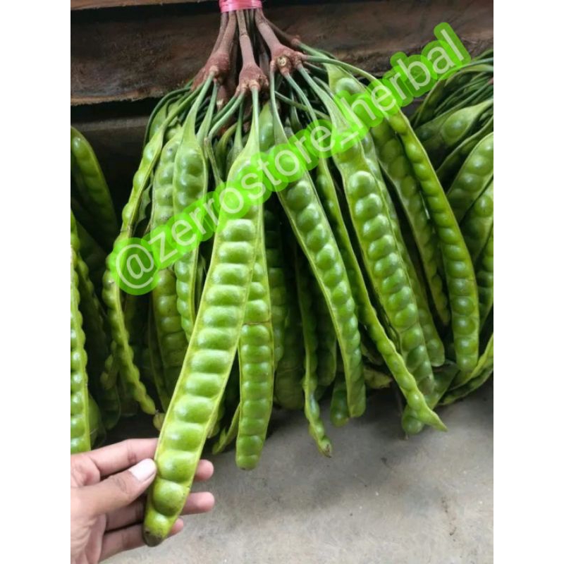 

Pete tua segar isi 5 papan