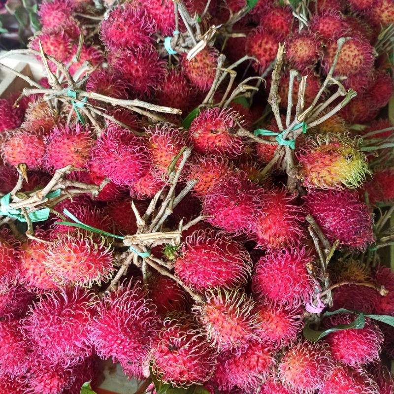 

Rambutan Koyakan Lokal Kalimantan • per ikat • Khusus Instant