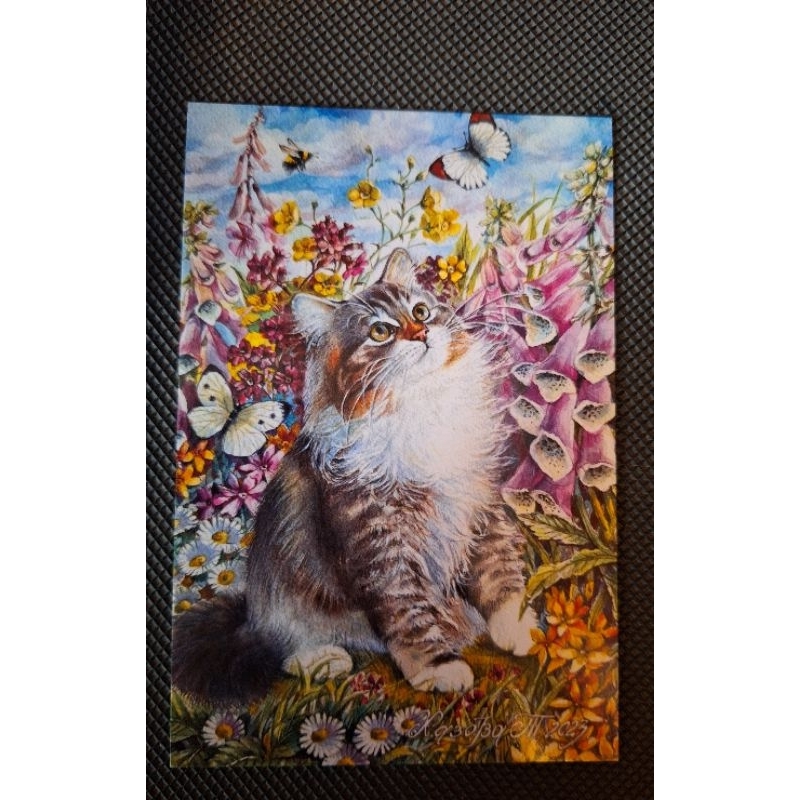 

kartu pos kucing/cat postcard