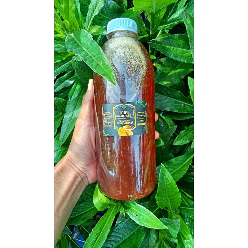 

Madu Hutan Asli 100 % dari Lebah Hutan Liar Kemasan 1 liter